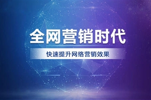赣州网络营销策划/咨询/执行
