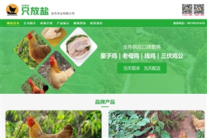 赣州网站制作案例